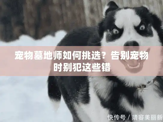 宠物墓地师如何挑选?告别宠物时别犯这些错 宠物墓地师如何挑选?告别宠物时别犯这些错