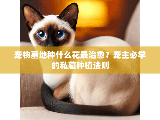 宠物墓地种什么花最治愈?宠主必学的私藏种植法则 宠物墓地种什么花最治愈?宠主必学的私藏种植法则