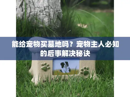 能给宠物买墓地吗？宠物主人必知的后事解决秘诀