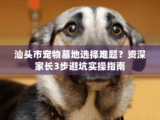 汕头市宠物墓地选择难题？资深家长3步避坑实操指南