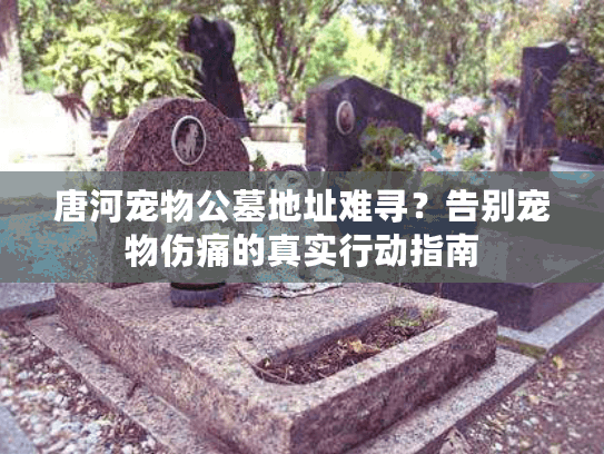 唐河宠物公墓地址难寻？告别宠物伤痛的真实行动指南