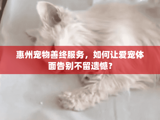 惠州宠物善终服务，如何让爱宠体面告别不留遗憾？