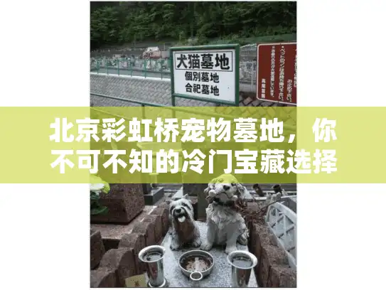 北京彩虹桥宠物墓地，你不可不知的冷门宝藏选择