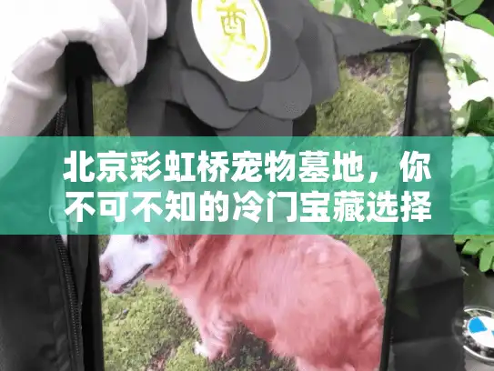 北京彩虹桥宠物墓地，你不可不知的冷门宝藏选择
