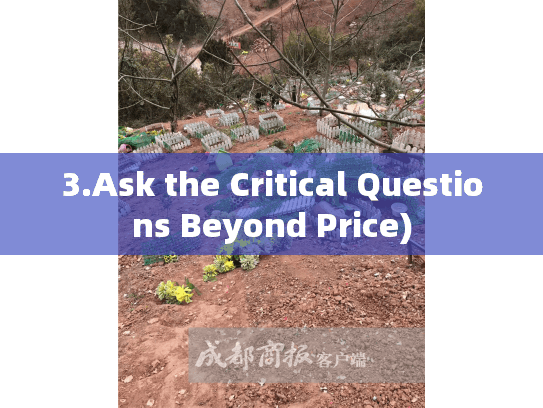 3.Ask the Critical Questions Beyond Price)