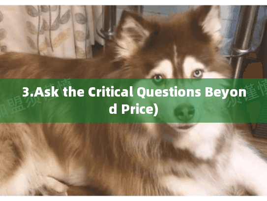3.Ask the Critical Questions Beyond Price)