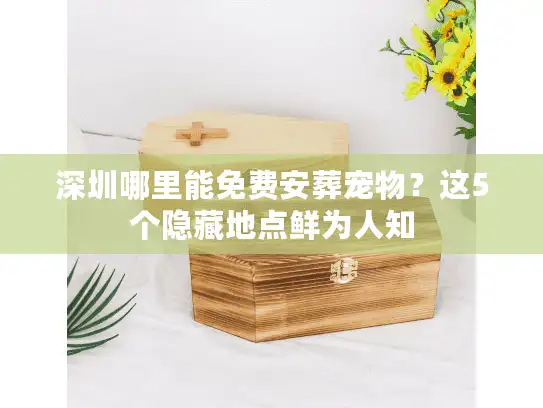 深圳哪里能免费安葬宠物？这5个隐藏地点鲜为人知