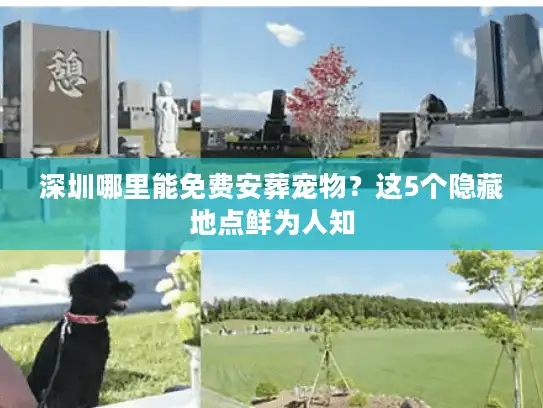 深圳哪里能免费安葬宠物？这5个隐藏地点鲜为人知