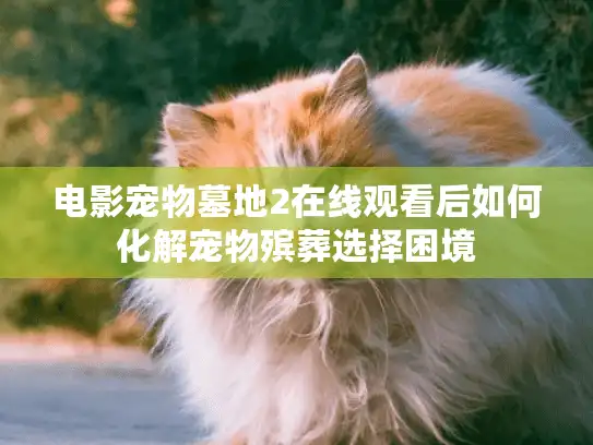 电影宠物墓地2在线观看后如何化解宠物殡葬选择困境