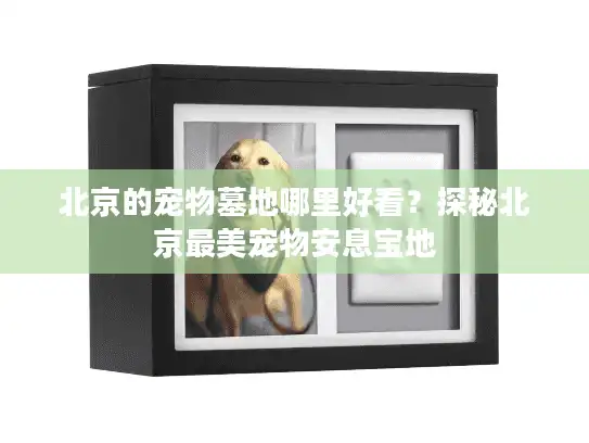 北京的宠物墓地哪里好看?探秘北京最美宠物安息宝地 北京的宠物墓地哪里好看?探秘北京最美宠物安息宝地