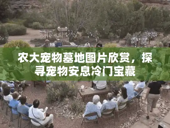 农大宠物墓地图片欣赏，探寻宠物安息冷门宝藏