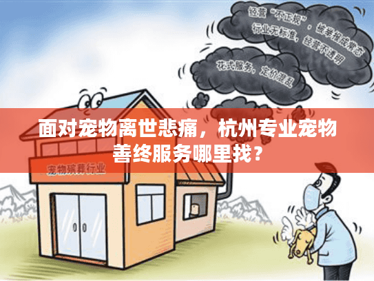 面对宠物离世悲痛，杭州专业宠物善终服务哪里找？