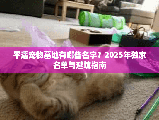 平遥宠物墓地有哪些名字？2025年独家名单与避坑指南