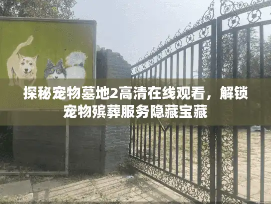 探秘宠物墓地2高清在线观看，解锁宠物殡葬服务隐藏宝藏