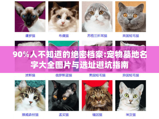 90%人不知道的绝密档案:宠物墓地名字大全图片与选址避坑指南 90%人不知道的绝密档案:宠物墓地名字大全图片与选址避坑指南