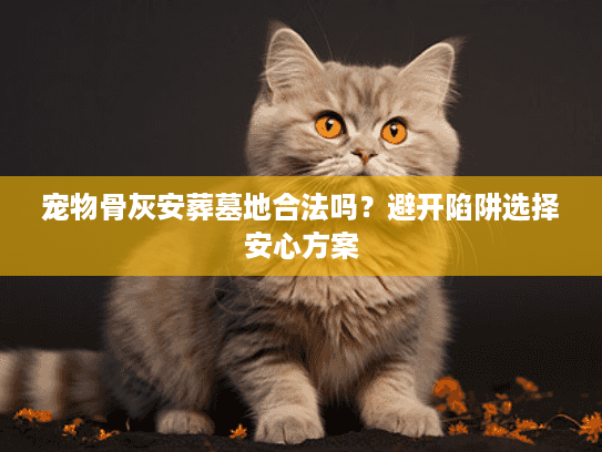 宠物骨灰安葬墓地合法吗？避开陷阱选择安心方案