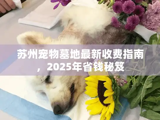 苏州宠物墓地最新收费指南，2025年省钱秘笈