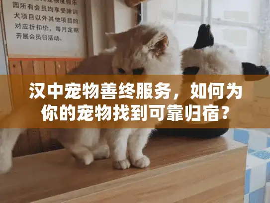 汉中宠物善终服务，如何为你的宠物找到可靠归宿？