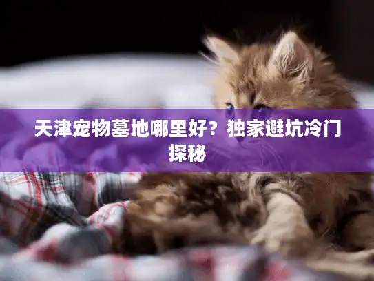 天津宠物墓地哪里好?独家避坑冷门探秘 天津宠物墓地哪里好?独家避坑冷门探秘