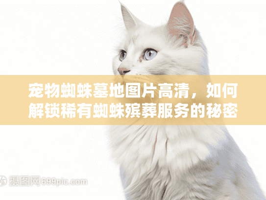 宠物蜘蛛墓地图片高清,如何解锁稀有蜘蛛殡葬服务的秘密? 宠物蜘蛛墓地图片高清,如何解锁稀有蜘蛛殡葬服务的秘密?