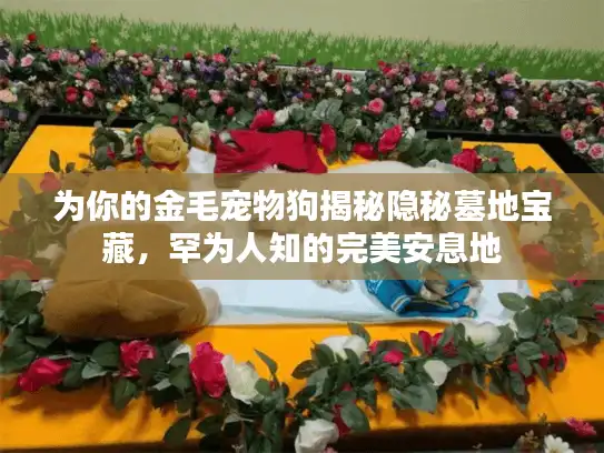 为你的金毛宠物狗揭秘隐秘墓地宝藏,罕为人知的完美安息地 为你的金毛宠物狗揭秘隐秘墓地宝藏,罕为人知的完美安息地