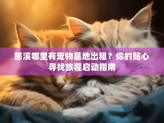 慈溪哪里有宠物墓地出租?你的贴心寻找旅程启动指南 慈溪哪里有宠物墓地出租?你的贴心寻找旅程启动指南