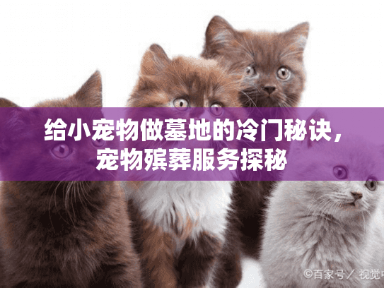 给小宠物做墓地的冷门秘诀,宠物殡葬服务探秘 给小宠物做墓地的冷门秘诀,宠物殡葬服务探秘