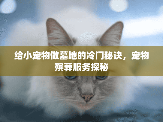 给小宠物做墓地的冷门秘诀,宠物殡葬服务探秘 给小宠物做墓地的冷门秘诀,宠物殡葬服务探秘