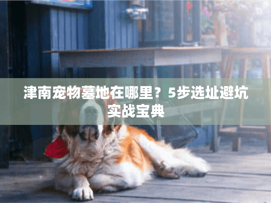 津南宠物墓地在哪里？5步选址避坑实战宝典