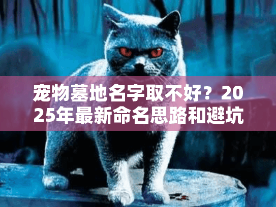 宠物墓地名字取不好?2025年最新命名思路和避坑大全 宠物墓地名字取不好?2025年最新命名思路和避坑大全