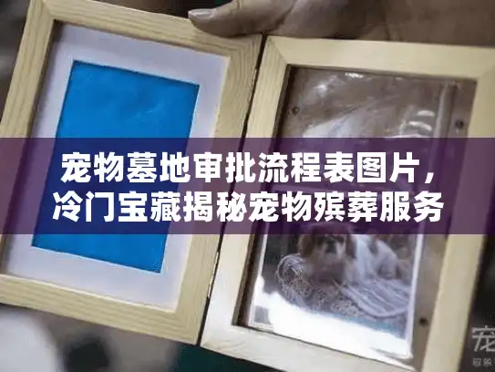 宠物墓地审批流程表图片，冷门宝藏揭秘宠物殡葬服务关键点