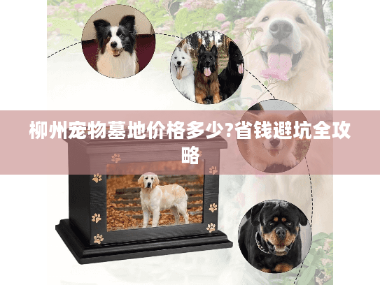 柳州宠物墓地价格多少?省钱避坑全攻略