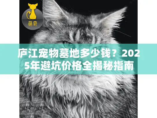 庐江宠物墓地多少钱？2025年避坑价格全揭秘指南