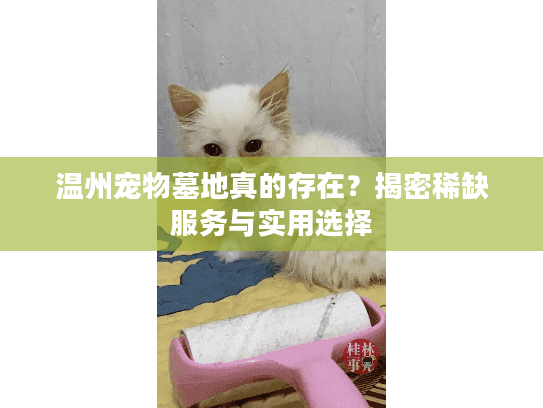 温州宠物墓地真的存在？揭密稀缺服务与实用选择