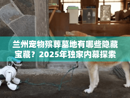 兰州宠物殡葬墓地有哪些隐藏宝藏？2025年独家内幕探索