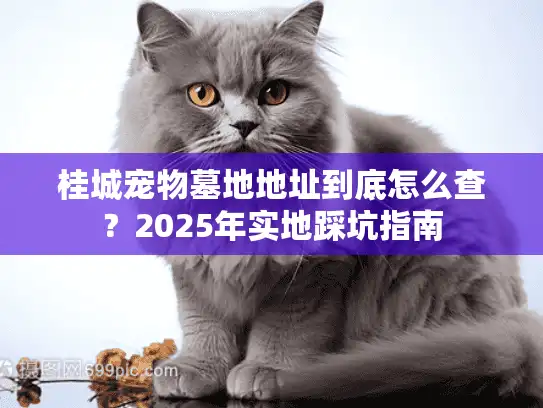 桂城宠物墓地地址到底怎么查?2025年实地踩坑指南 桂城宠物墓地地址到底怎么查?2025年实地踩坑指南