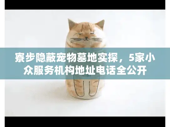 寮步隐蔽宠物墓地实探，5家小众服务机构地址电话全公开