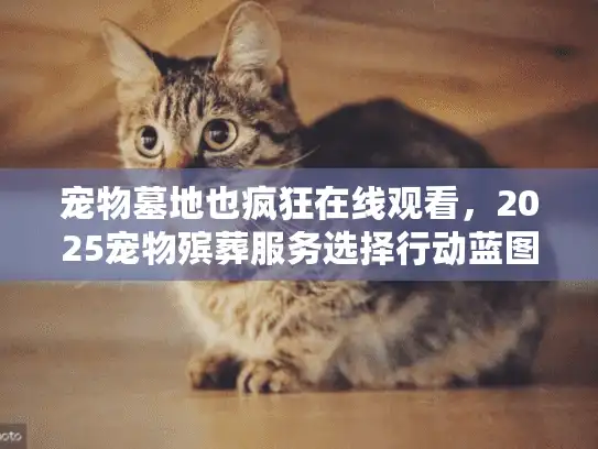 宠物墓地也疯狂在线观看，2025宠物殡葬服务选择行动蓝图