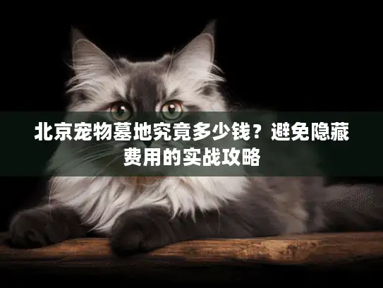 北京宠物墓地究竟多少钱？避免隐藏费用的实战攻略