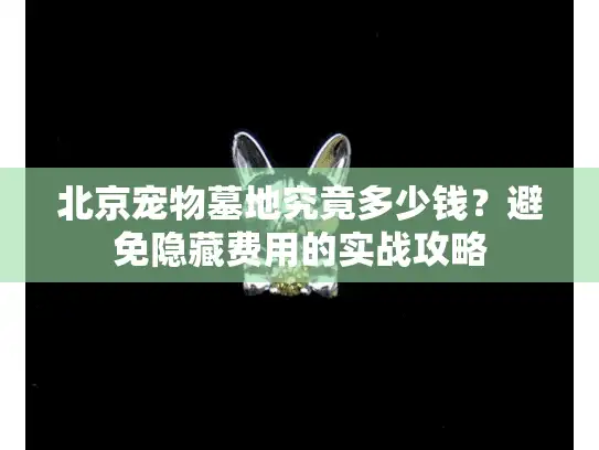 北京宠物墓地究竟多少钱？避免隐藏费用的实战攻略