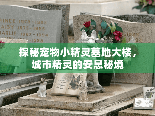 探秘宠物小精灵墓地大楼，城市精灵的安息秘境