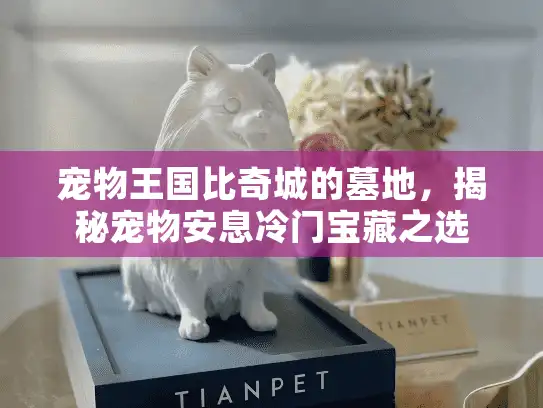 宠物王国比奇城的墓地，揭秘宠物安息冷门宝藏之选