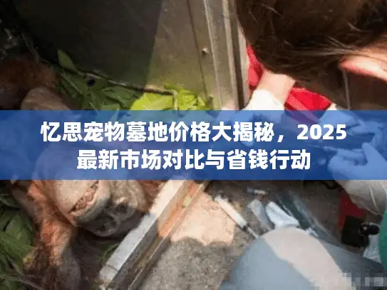 忆思宠物墓地价格大揭秘,2025最新市场对比与省钱行动 忆思宠物墓地价格大揭秘,2025最新市场对比与省钱行动