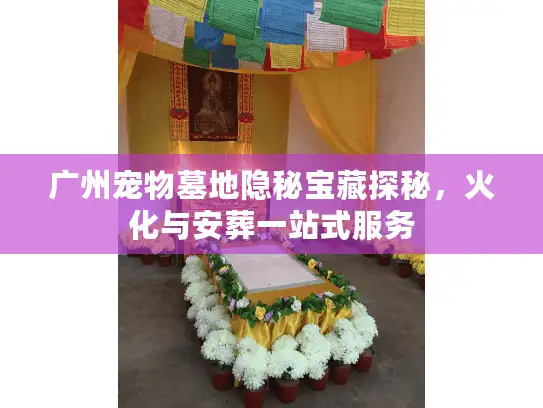 广州宠物墓地隐秘宝藏探秘，火化与安葬一站式服务