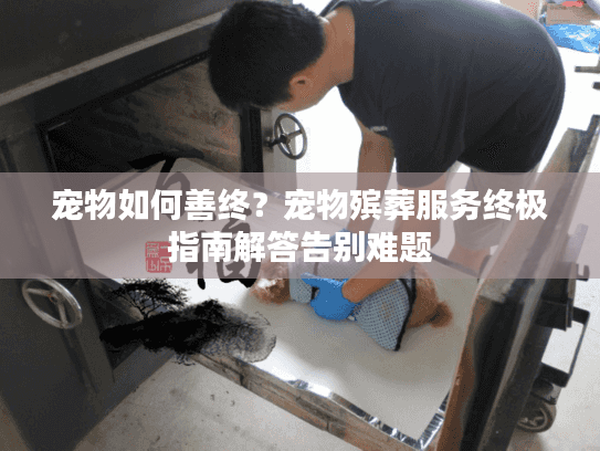 宠物如何善终？宠物殡葬服务终极指南解答告别难题