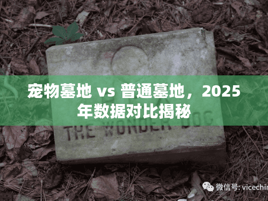 宠物墓地 vs 普通墓地，2025年数据对比揭秘