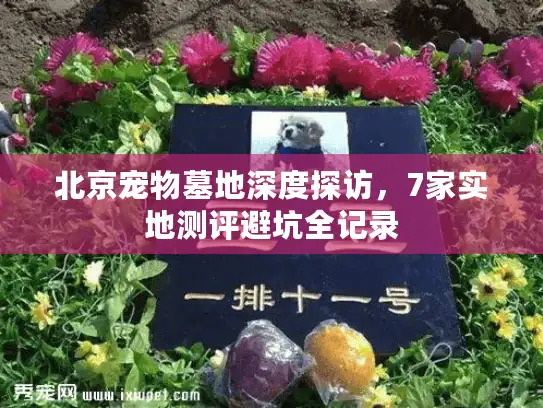 北京宠物墓地深度探访,7家实地测评避坑全记录 北京宠物墓地深度探访,7家实地测评避坑全记录
