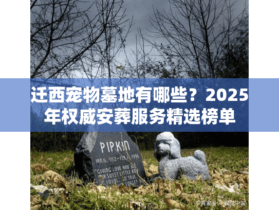 迁西宠物墓地有哪些？2025年权威安葬服务精选榜单