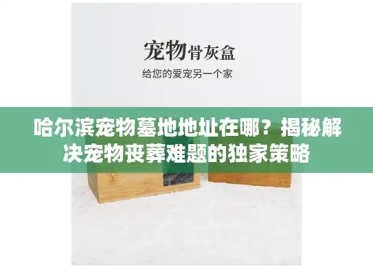 哈尔滨宠物墓地地址在哪？揭秘解决宠物丧葬难题的独家策略