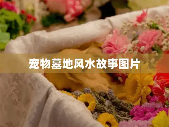 宠物墓地风水故事图片